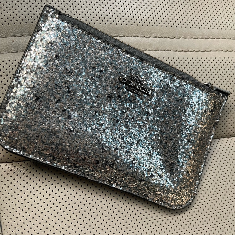 Lovely Coach Leather & Glitter Card Case